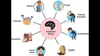 Symptoms Based Multiple Disease Prediction Model using Machine Learning Approach | Python | PHP