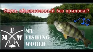 35) My Fishing World Окунь обыкновенный без прилова!?