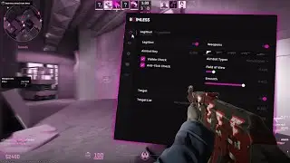 Conversations / CS2 Cheating ft. baimless