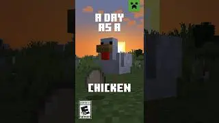 A DAY AS A CHICKEN!