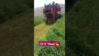 Комбайн, который в хороших руках может работать вечно ск-5 "нива" #fs22 #farming #фармингсимулатор