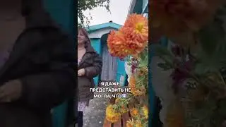 Стану блогером🤩. Подписывайся 