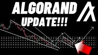 Algorand (ALGO) Crypto Coin Update!!!