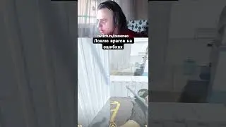 Стримы каждый день в 