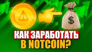 How I Made Money on Notcoin: DOGS Airdrop and Future Opportunities!