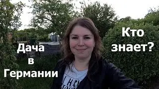 Что выросло у нас на огороде / Одни вопросы / Наша дача в Германии