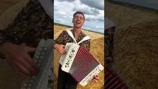 Паренёк с гармошкой на сеновале! 😍 