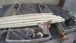 Строим загон для кур своими руками Ч 1