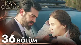 Kan Çiçekleri 36. Bölüm