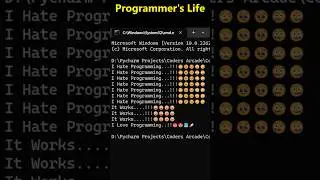 Programmer's Life 