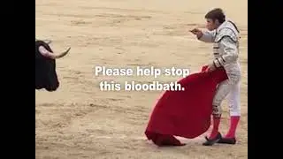 Shocking Video Shows What Bullfighting Really Looks Like