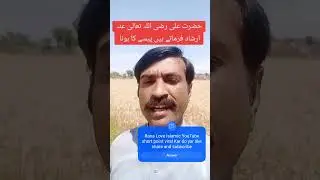 حضرت علی رضی اللہ تعالیٰ عنہ ارشاد فرماتے ہیں پیسے کا ہونا 