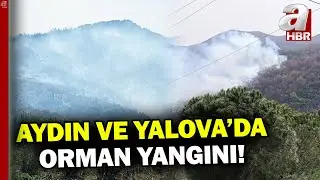 Ayın ve Yalova'da orman yangını! İtfaiye ekipleri müdahale ediyor | A Haber