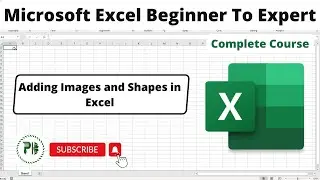 How Do You Insert Images and Shapes in Excel? | Adding Images and Shapes in Excel 