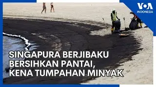 Pantai di Singapura Menghitam, Kena Tumpahan Minyak