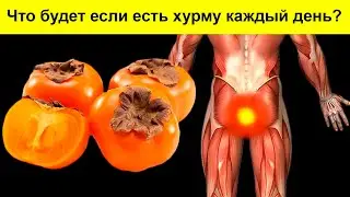 Из-за одного куска ХУРМЫ могут запуститься необратимые процессы. Что творит ХУРМА?