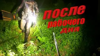 ПОДВОДНАЯ ОХОТА ПОСЛЕ РАБОЧЕГО ДНЯ!!!