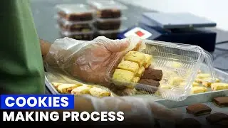 Cookies Making Process | How Chocolate Cookies are Made | Flavored Cookies Making