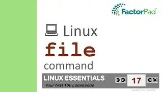 Linux file command summary with examples