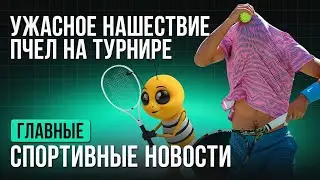 Нашествие пчел откладывает теннисный матч! Очередной 