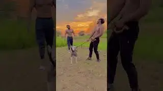 Bully Dog Fire🔥 Isne To Dara Diya😤 