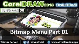 CorelDraw Menu| Bitmaps Menu | Convert  Bitmap to Bitmap Color Mask | 56