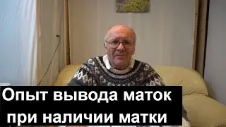 №12 Опыт вывода маток при наличии матки. Пасека. пчеловодство для начинающих