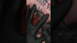 Trad Wolf Tattoo Cover Up