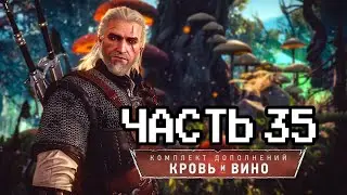 Впервые прохожу Ведьмак 3: Кровь и Вино - 35 часть | Макс сложность | Next Gen
