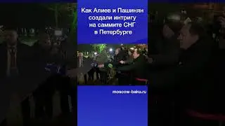 Как Алиев и Пашинян создали интригу на саммите СНГ в Петербурге