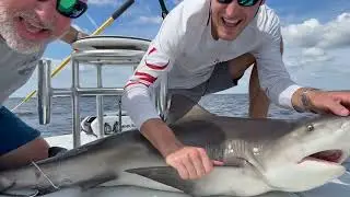 Shark Fishing Florida