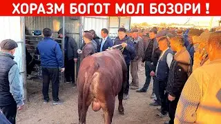 ХОРАЗМ БОГОТ МОЛ БОЗОРИ 9-ОКТЯБР ЭРТАЛАБГИ САВДОЛАР !!! ХОРАЗМ БОЗОР