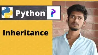 🔴Let's Learn Python from Programiz | Tired Programmer(Inheritance)