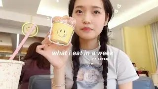 what i eat in a week in Korea🍥 (lots of noodles, cute cafes, food market)