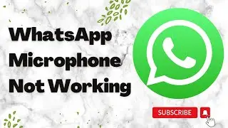 WhatsApp Microphone Not Working During Video Calls