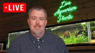 Lets Talk about Plants and Algae Live - Episode 299