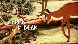 Мультики ★ Сказка Олень и  Волк . СССР (1950)