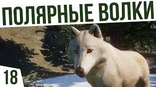 ПОЛЯРНЫЕ ВОЛКИ! | #18 Planet Zoo