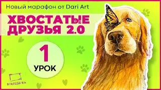Марафон 