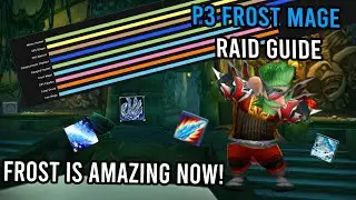 Frost Dps Raid Guide  | Phase 3 Sunken Temple | WoW Season of Discovery |  KallTorak Living Flame NA