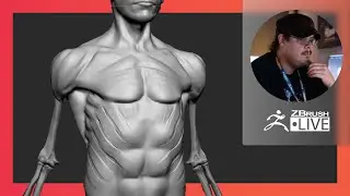 Enter the ZBHO Dojo: Anatomy Critiques - Spicer McLeroy - ZBrush 2021.6