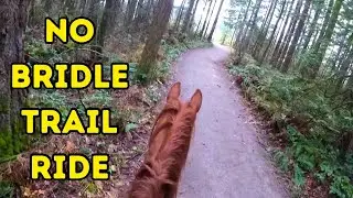 Bridleless Trail Ride with My Rescue Horse (GOPRO HELMET CAM)