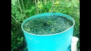 Как избавиться от сорняков за один день