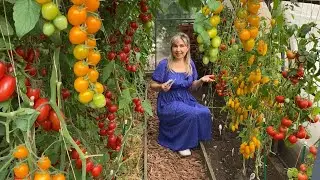 ЧТО ПОСЕЯТЬ В СЕНТЯБРЕ ДЛЯ ПОЛУЧЕНИЯ УРОЖАЯ ЗИМОЙ
