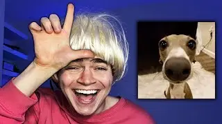 Veshremy is STUPID