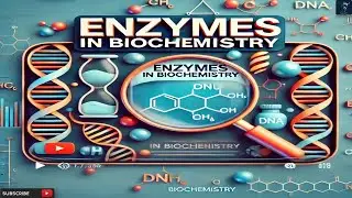 Enzymes in Biochemistry | Types of Enzymes | Structure of Enzymes | What Are Enzymes?