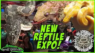 TOURING A NEW REPTILE EXPO! | All American Reptile and Plant Expo, Denver, Co.