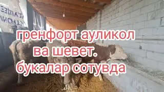 сотувда манзил сирдарё+998994903344