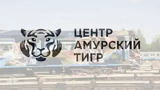 Striped Express 2019