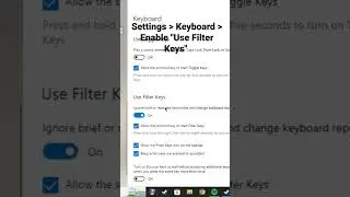 Fix Keyboard not working in Windows 10/11 